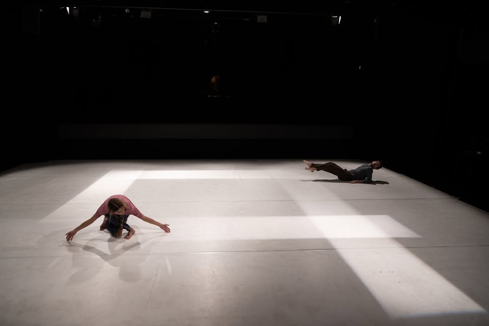 Evento Membrane Culturali – Danza A Palazzo Locandina Membrane Culturali – Danza A Palazzo - sabato 10 ottobre ore 20:30 - 22:30