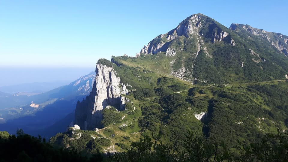 Evento Osservazione della fauna al tramonto sul gruppo del Carega e cena al rifugio Scalorbi Locandina Osservazione della fauna al tramonto sul gruppo del Carega e cena al rifugio Scalorbi - sabato 3 ottobre ore 15:15 - 23:00