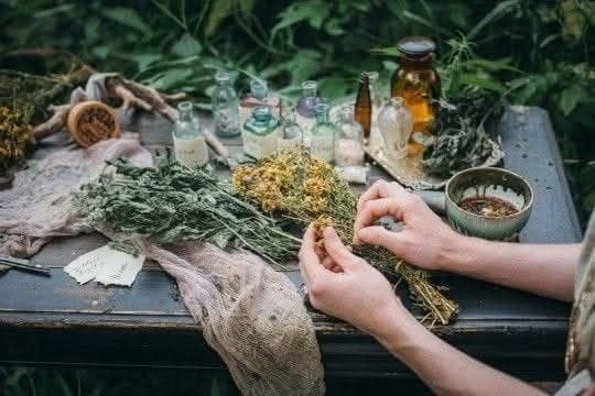 Evento Per – Corso di Erboristeria Tradizionale e Medicina Mediterranea Locandina Per – Corso di Erboristeria Tradizionale e Medicina Mediterranea - da sabato 17 ottobre - domenica 18 ottobre 2026 ore 09:30 ore 18:00