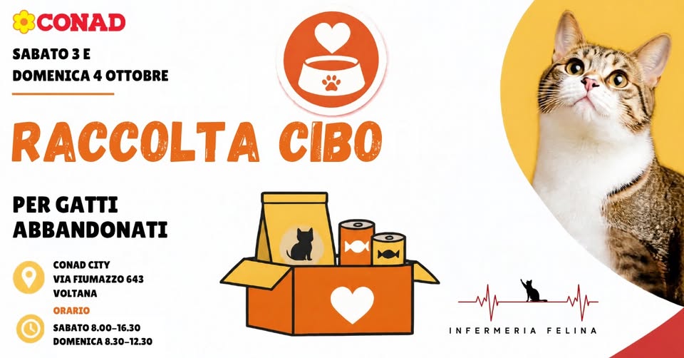 Evento Raccolta cibo per gatti abbandonati Locandina Raccolta cibo per gatti abbandonati - sabato 3 ottobre ore 08:00 - 16:30