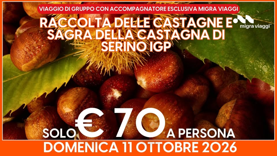 Evento Raccolta Delle Castagne E Sagra Della Castagna Di Serino Igp – 11 Ottobre 2026 Locandina Raccolta Delle Castagne E Sagra Della Castagna Di Serino Igp – 11 Ottobre 2026 - domenica 11 ottobre ore 14:00 - 16:00