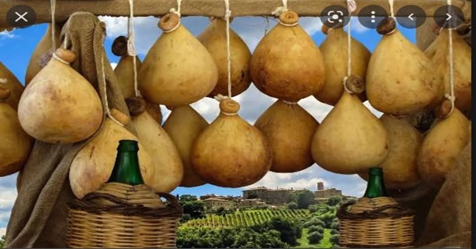 Evento Sagra del Caciocavallo. Castelfranco in Miscano (BN) Locandina Sagra del Caciocavallo. Castelfranco in Miscano (BN) - da giovedì 17 settembre - domenica 20 settembre 2026 ore 19:00 ore 23:59