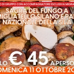 Immagine evento Sagra Del Fungo A Camigliatello Silano E Parco Nazionale Della Sila a Bari (BA) Sagra Del Fungo A Camigliatello Silano E Parco Nazionale Della Sila a Bari (BA) il 11 ottobre 2026