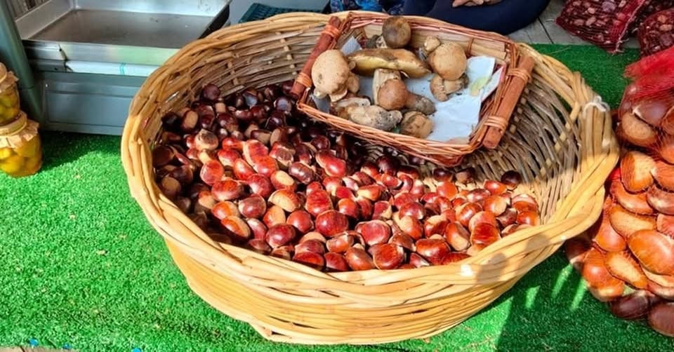 Evento Sagra della Castagna e del Fungo Porcino. Sipicciano (CE) Locandina Sagra della Castagna e del Fungo Porcino. Sipicciano (CE) - da sabato 3 ottobre - domenica 4 ottobre 2026 ore 18:00 ore 23:59