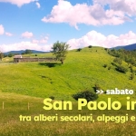 Immagine evento San Paolo in Alpe, tra alberi secolari, alpeggi e panorami a Santa Sofia (FC) San Paolo in Alpe, tra alberi secolari, alpeggi e panorami a Santa Sofia (FC) il 10 ottobre 2026