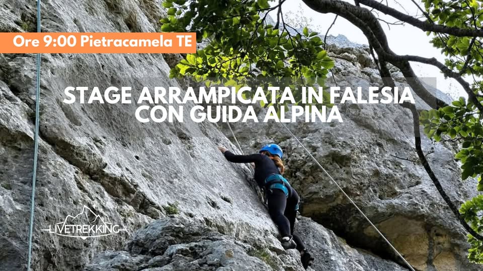 Evento Stage Arrampicata In Falesia Con Guida Alpina Locandina Stage Arrampicata In Falesia Con Guida Alpina - giovedì 1 ottobre ore 09:00 - 14:00