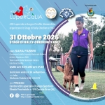 Immagine evento Stage Di Rally – O Enci a Sarezzano (AL) Stage Di Rally - O Enci a Sarezzano (AL) il 31 ottobre 2026