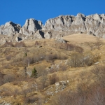 Immagine evento Tanaria! Agricoltura eroica nell’Alta Valle del Tanaro a Ormea (CN) Tanaria! Agricoltura eroica nell'Alta Valle del Tanaro a Ormea (CN) il 15 ottobre - 18 ottobre 2026