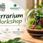 Immagine evento Terrarium Workshop – Crea il tuo piccolo ecosistema a Cagliari (CA) Terrarium Workshop - Crea il tuo piccolo ecosistema a Cagliari (CA) il 3 ottobre 2026