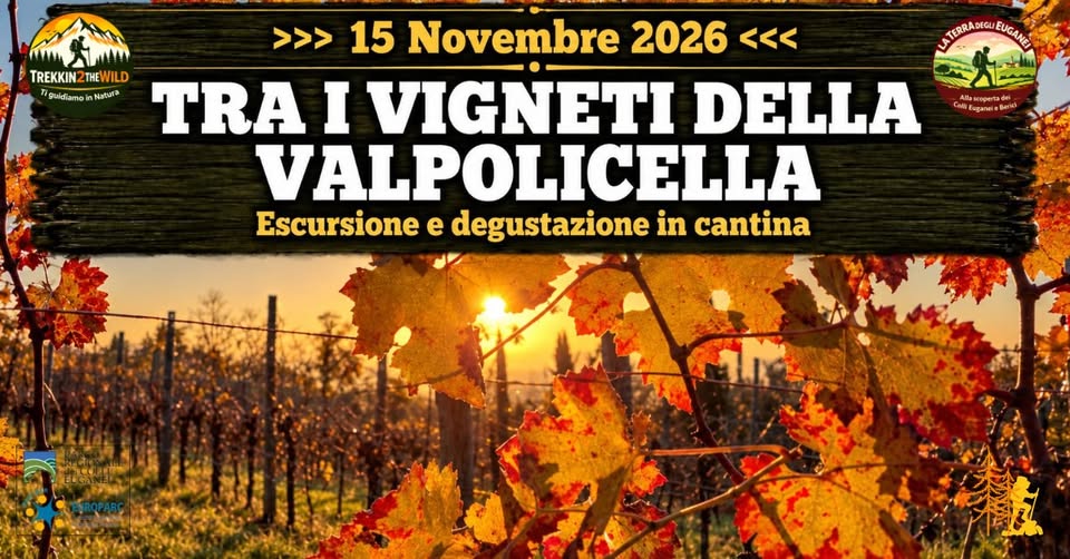 Evento Tra i vigneti della Valpolicella Locandina Tra i vigneti della Valpolicella - domenica 15 novembre ore 09:15 - 15:30