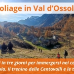 Immagine evento Tre Giorni Di Foliage In Ossola a Domodossola (VB) No photo description available.