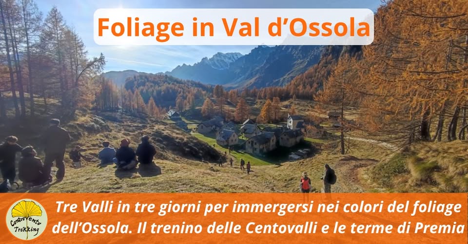 Evento Tre Giorni Di Foliage In Ossola Locandina Tre Giorni Di Foliage In Ossola - da sabato 7 novembre - lunedì 9 novembre 2026 ore 10:00 ore 16:00
