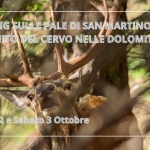 Immagine evento Trekking sulle Pale di San Martino il Bramito del Cervo nelle Dolomiti a Comacchio (FE) Trekking sulle Pale di San Martino il Bramito del Cervo nelle Dolomiti a Comacchio (FE) il 2 ottobre - 3 ottobre 2026