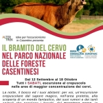 Immagine evento Tutti Pazzi Per Il Bramito! Edizione Domenicale a Pratovecchio (AR) Tutti Pazzi Per Il Bramito! Edizione Domenicale a Pratovecchio (AR) il 13 settembre settembre - 18 ottobre 2026