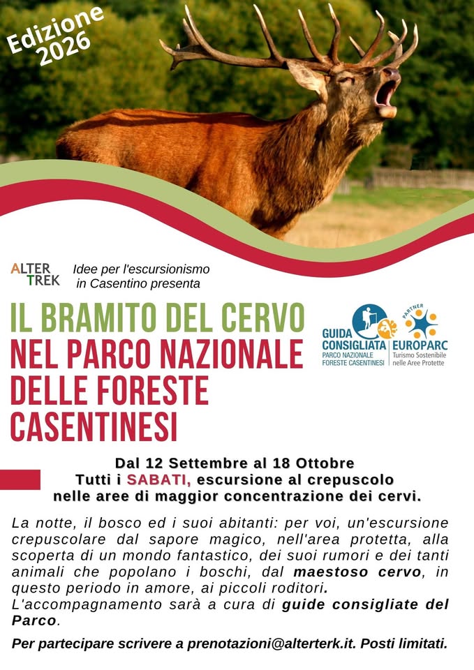 Evento Tutti Pazzi Per Il Bramito! Edizione Domenicale Locandina Tutti Pazzi Per Il Bramito! Edizione Domenicale - da domenica 13 settembre - domenica 18 ottobre 2026 ore 10:00 ore 13:00