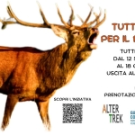 Immagine evento TUTTI PAZZI PER IL BRAMITO escursione al crepuscolo a Pratovecchio (AR) TUTTI PAZZI PER IL BRAMITO escursione al crepuscolo a Pratovecchio (AR) il 12 settembre settembre - 17 ottobre 2026