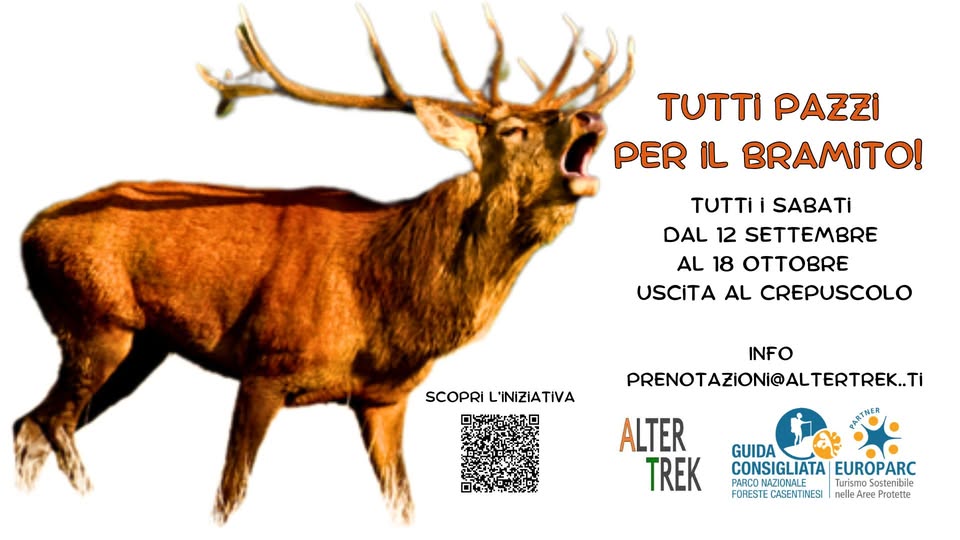 Evento TUTTI PAZZI PER IL BRAMITO escursione al crepuscolo Locandina TUTTI PAZZI PER IL BRAMITO escursione al crepuscolo - da sabato 12 settembre - sabato 17 ottobre 2026 ore 18:00 ore 22:00