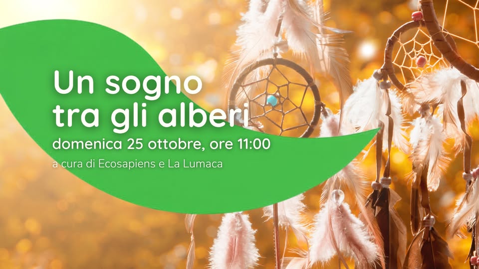 Evento Un sogno tra gli alberi Locandina Un sogno tra gli alberi - domenica 25 ottobre ore 11:00 - 13:00
