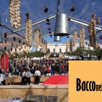 Immagine evento Una domenica tra shopping e sapori Primark & Festa Bacco nelle Gnostre a Noci a Noci (BA) Una domenica tra shopping e sapori Primark & Festa Bacco nelle Gnostre a Noci a Noci (BA) il 8 novembre 2026