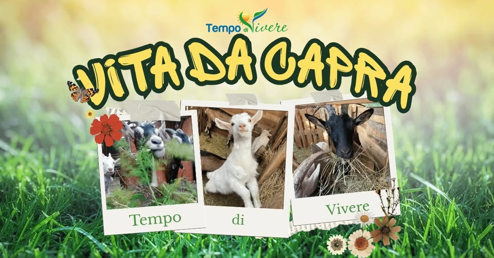 Evento Vita da capra Locandina Vita da capra - da venerdì 2 ottobre - domenica 4 ottobre 2026 ore 18:30 ore 17:00