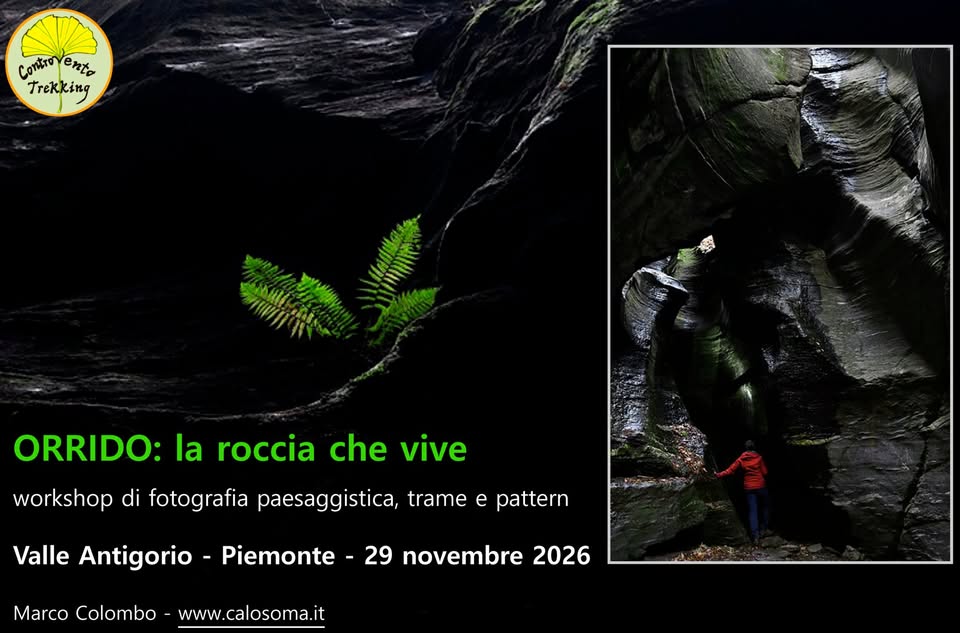 Evento Workshop fotografico con MARCO COLOMBO – Orridi di Uriezzo Locandina Workshop fotografico con MARCO COLOMBO – Orridi di Uriezzo - domenica 29 novembre ore 17:00 - 19:00