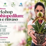 Immagine evento Workshop Paphiopedilum alla scoperta di un’orchidea speciale a Cagliari (CA) Workshop Paphiopedilum alla scoperta di un'orchidea speciale a Cagliari (CA) il 10 ottobre 2026