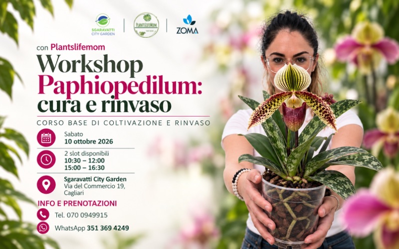 Evento Workshop Paphiopedilum alla scoperta di un’orchidea speciale Locandina Workshop Paphiopedilum alla scoperta di un’orchidea speciale - sabato 10 ottobre ore 10:30 - 12:30