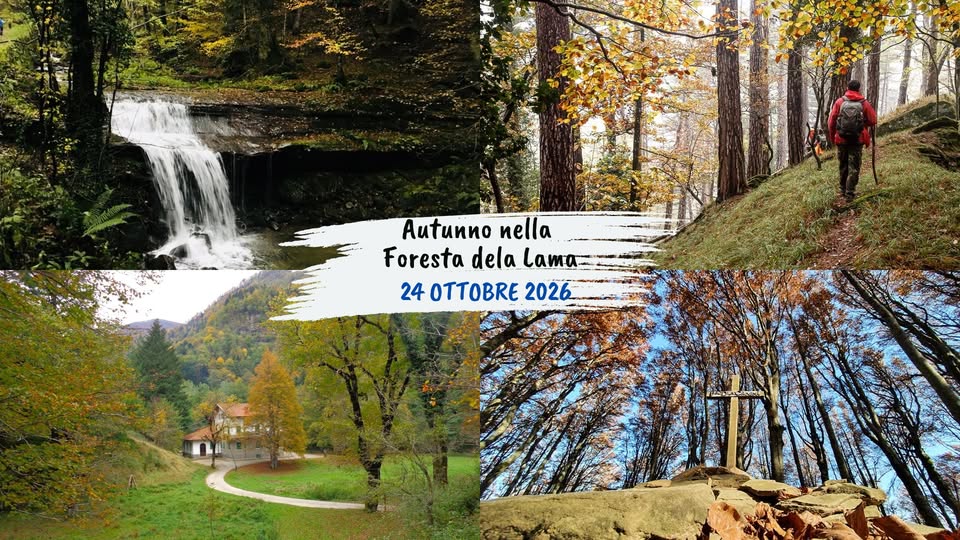 Evento Autunno nella Foresta della Lama Locandina Autunno nella Foresta della Lama - sabato 24 ottobre ore 09:15 - 17:30