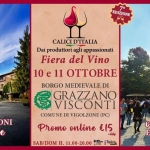 Immagine evento Calici D’italia Fiera Del Vino 7º Edizione a Vigolzone (PC) Calici D'italia Fiera Del Vino 7º Edizione a Vigolzone (PC) il 10 ottobre - 11 ottobre 2026
