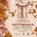 Immagine evento Cattolica Sottobosco Tempi di Recupero Festival a Cattolica (RN) Cattolica Sottobosco Tempi di Recupero Festival a Cattolica (RN) il 31 ottobre ottobre - 1 novembre 2026