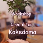 Immagine evento Crea il tuo Kokedama a Brindisi (BR) Crea il tuo Kokedama a Brindisi (BR) il 4 ottobre 2026