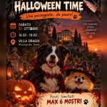 Immagine evento DOGGY HALLOWEEN TIME Una passeggiata… da paura! a Montegrotto Terme (PD) DOGGY HALLOWEEN TIME Una passeggiata... da paura! a Montegrotto Terme (PD) il 31 ottobre 2026