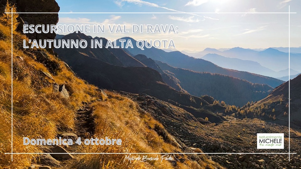 Evento Escursione Val di Rava l’autunno in Alta Quota Locandina Escursione Val di Rava l’autunno in Alta Quota - domenica 4 ottobre ore 09:00 - 11:00