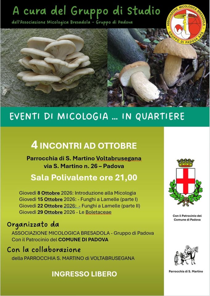 Evento Eventi di Micologia…in quartiere Locandina Eventi di Micologia…in quartiere - da giovedì 8 ottobre - giovedì 29 ottobre 2026 ore 21:00 ore 21:01