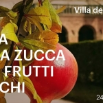 Immagine evento Festa della Zucca e dei frutti antichi a Torreglia (PD) Festa della Zucca e dei frutti antichi a Torreglia (PD) il 24 ottobre - 25 ottobre 2026