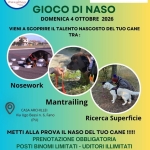 Immagine evento Gioco di Naso a Fano (PU) Gioco di Naso a Fano (PU) il 4 ottobre 2026