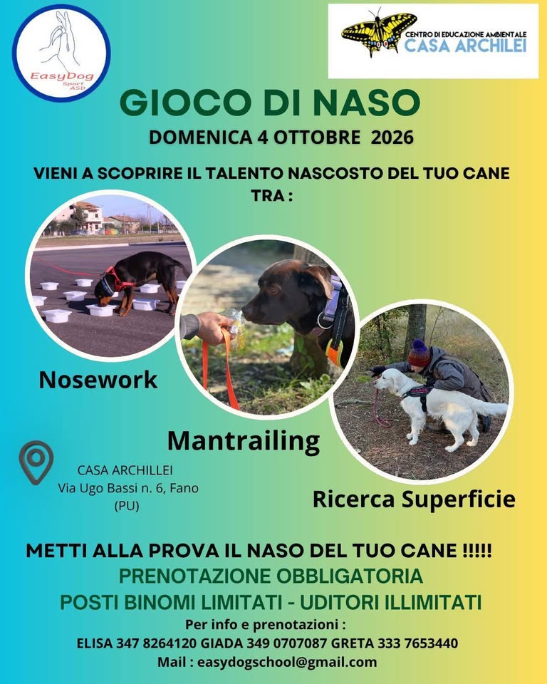 Evento Gioco di Naso Locandina Gioco di Naso - domenica 4 ottobre ore 09:05 - 11:05