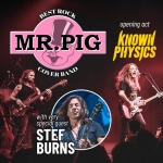 Immagine evento HoR LiVE Mr. Pig Stef Burns a Rimini (RN) HoR LiVE Mr. Pig Stef Burns a Rimini (RN) il 23 ottobre 2026