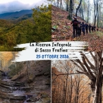 Immagine evento I colori dell’ autunno nella Riserva Integrale di Sasso Fratino a Santa Sofia (FC) I colori dell' autunno nella Riserva Integrale di Sasso Fratino a Santa Sofia (FC) il 25 ottobre 2026