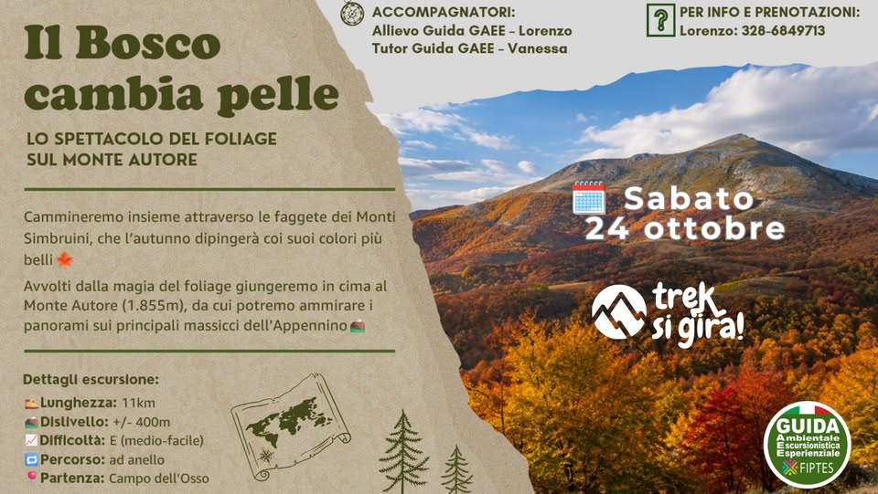 Evento Il bosco cambia pelle Monte Autore e Foliage Sabato 24 Ottobre Locandina Il bosco cambia pelle Monte Autore e Foliage Sabato 24 Ottobre - sabato 24 ottobre ore 09:30 - 15:30