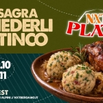 Immagine evento Oktobergfest – Sagra canederli & stinco NXT Bergamo a Bergamo (BG) Oktobergfest - Sagra canederli & stinco NXT Bergamo a Bergamo (BG) il 29 ottobre ottobre - 8 novembre 2026