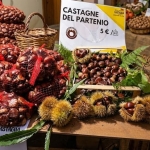 Immagine evento Sagra della Castagna del Partenio. Arpaise (BN) a Pasquarielli (BN) Sagra della Castagna del Partenio. Arpaise (BN) a Pasquarielli (BN) il 10 ottobre - 11 ottobre 2026