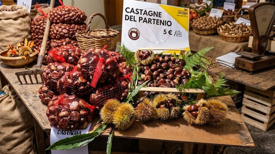 Evento Sagra della Castagna del Partenio. Arpaise (BN) Locandina Sagra della Castagna del Partenio. Arpaise (BN) - da sabato 10 ottobre - domenica 11 ottobre 2026 ore 19:00 ore 23:59