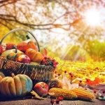 Immagine evento Sapori d’Autunno. Roccasecca (FR) a Roccasecca (FR) Sapori d'Autunno. Roccasecca (FR) a Roccasecca (FR) il 10 ottobre - 11 ottobre 2026