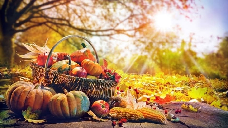 Evento Sapori d’Autunno. Roccasecca (FR) Locandina Sapori d’Autunno. Roccasecca (FR) - da sabato 10 ottobre - domenica 11 ottobre 2026 ore 18:00 ore 19:00